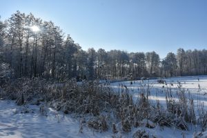 Stawy świętej Anny w krajobrazie zimowym