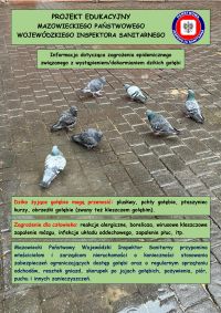 Ulotka zagrożenie epidemiologiczne - dzikie gołębie
