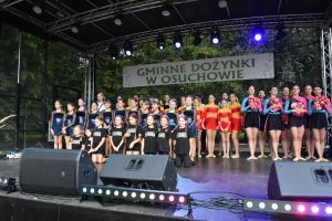 Zdjęcie: obchody Dożynek Gminnych w Osuchowie