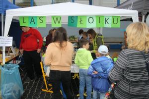 Zdjęcie: osoby uczestniczące w ekopikniku, nauczyciele, uczniowie i ich rodzice