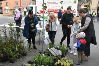 Zdjęcie: Osoby stojące przy namiocie