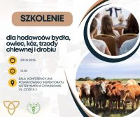 Grafika informacyjna