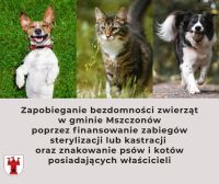 Grafika ozdobna