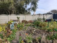 Rodzinne Ogrody Działkowe