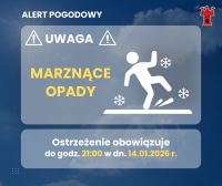 Grafika informacyjna