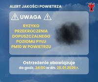 Grafika informacyjna