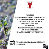 Grafika ozdobna