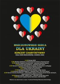Grafika: plakat promujący koncert charytatywny