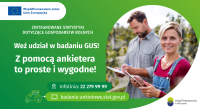 Grafika informacyjna