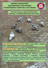 Informacja dotycząca zagrożenia epidemicznego związanego z występowaniem/dokarmianiem dzikich gołębi