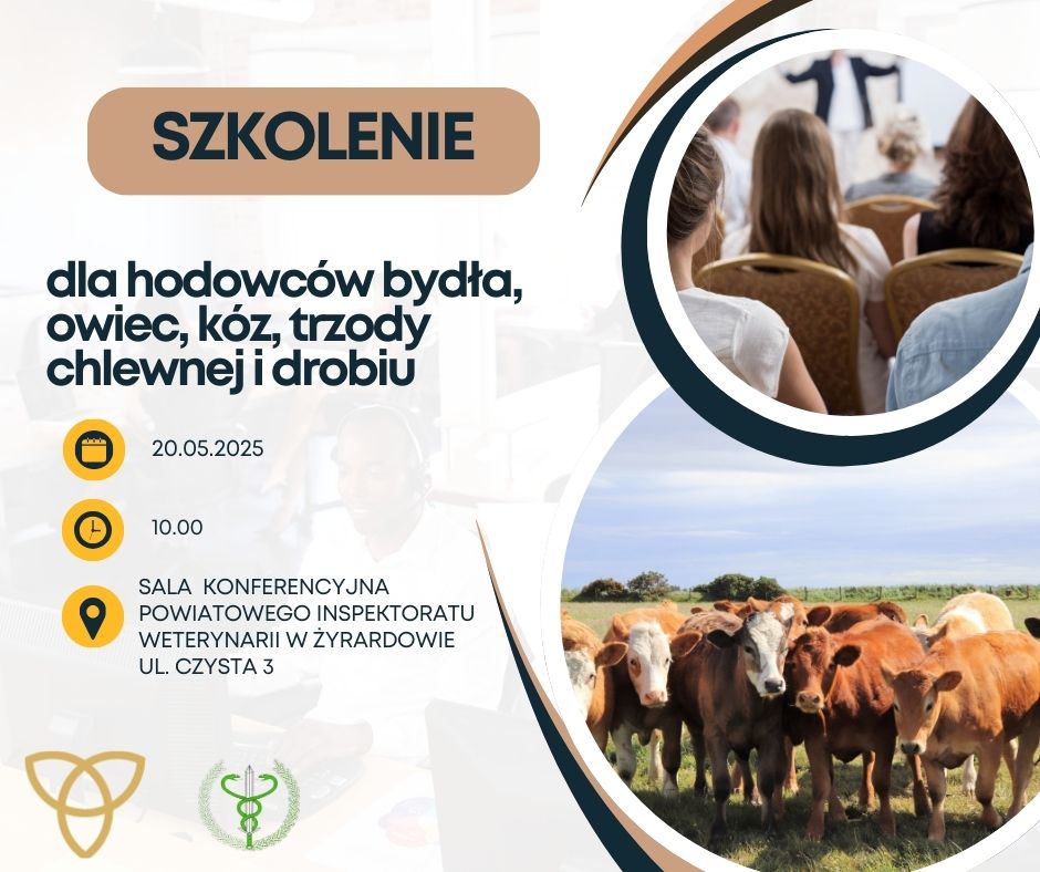 Grafika informacyjna